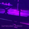 lavender_static