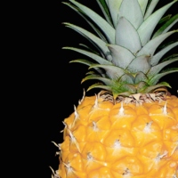 another_ananas