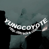 yungcoyote