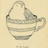 teacupbirds