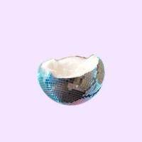 disco coconut