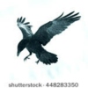 The Rocking Raven