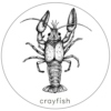 crayfish_