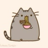 Noodle_Cat