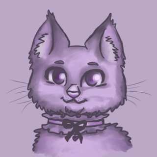 violet kitten