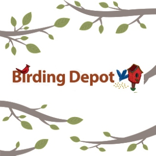birdingdepot