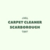 Carpetcleaner111