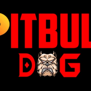 pitbulldog