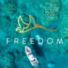 freedomboatcharters