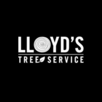 lloydstrees