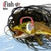 iFish six