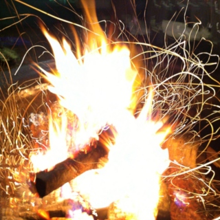 campfires > forest fires