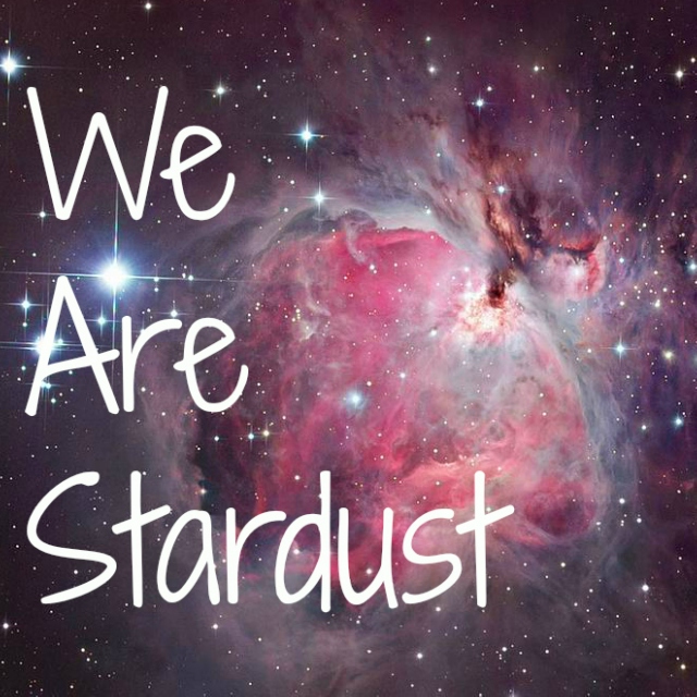 We  are stardust. 