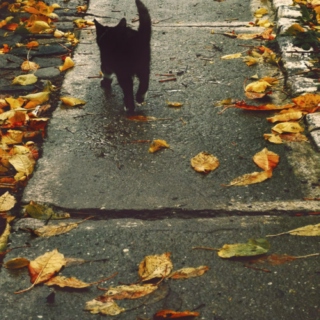 On a rainy Fall day