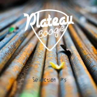 PlateauBoogie Selection #5