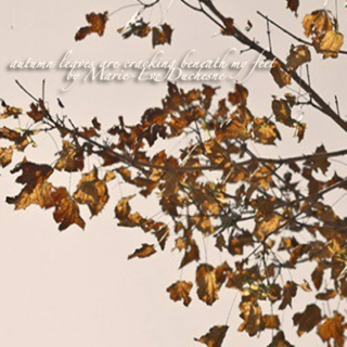Autumn Leaves Are Cracking Beneath My Feet by Marie-Ève Duchesne