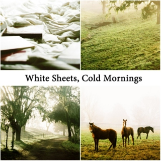 White Sheets, Cold Mornings