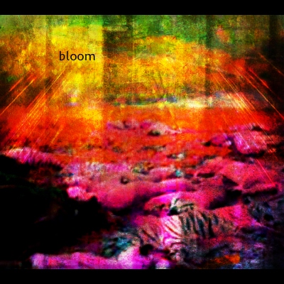 Vomit's Tongue Vol.1: Bloom