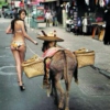 Donkey Ride