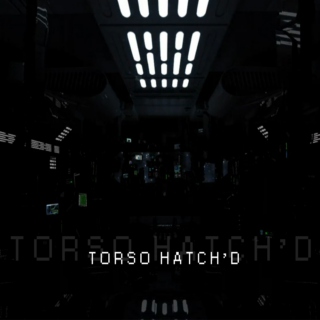 Torso Hatch'd