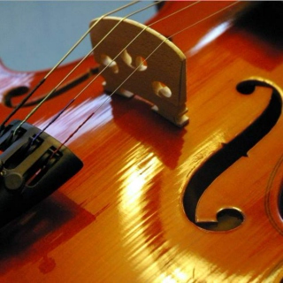 Violins in Carnatic music