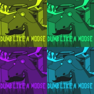 Dumb Like A Moose