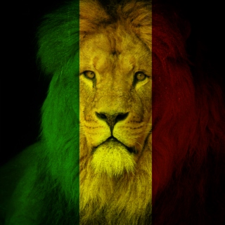 The Lions of Ras Tafari