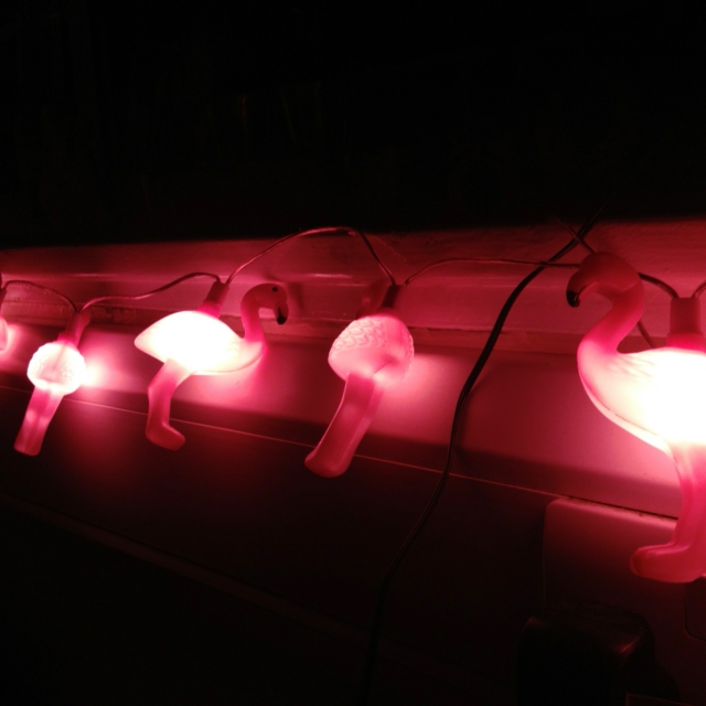 Chillin' with Glowing Flamingoes