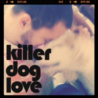 Killer Dog Love
