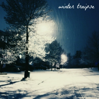 Winter Traipse