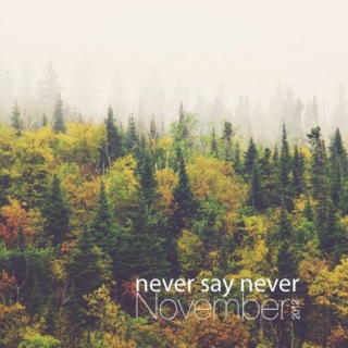 Never Say Never November 2012