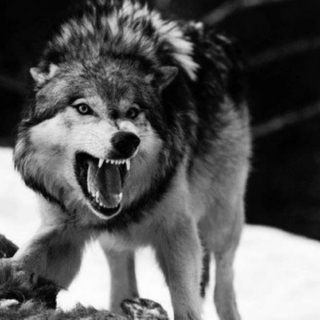 Steppenwolf: The Beast