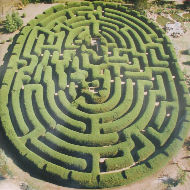 The Drifting Labyrinth