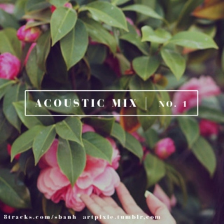 Acoustic Mixtape No.1