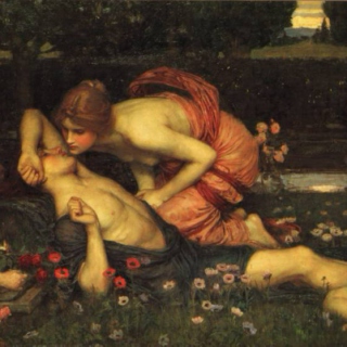 Tristan & Narcissus