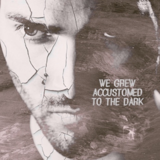 we grew accustomed to the dark