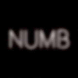 NUM8