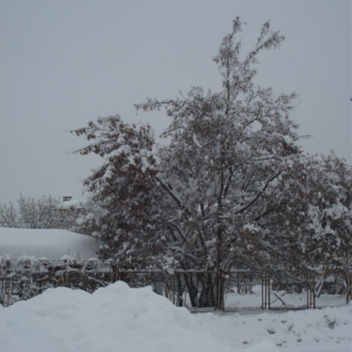 Snow In Folk Songs (Turkey)