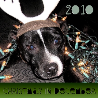 Christmas in December 2010