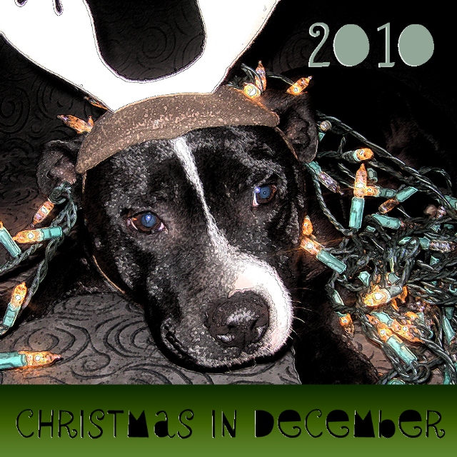 Christmas in December 2010