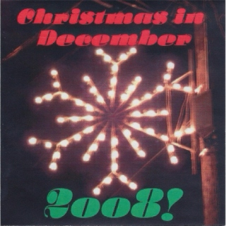 Christmas in December 2008
