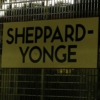 Subway Static #03: Sheppard