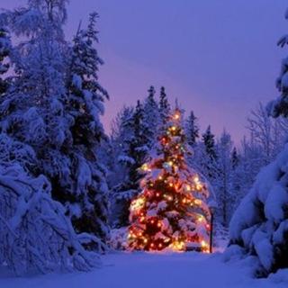 Falling Snow And Christmas Lights