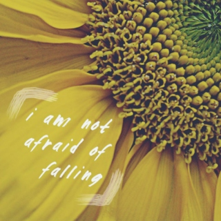 [i am not afraid of falling]