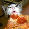Gimme Pizza!