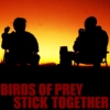 birds of prey stick together