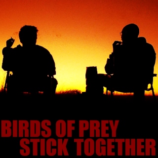 birds of prey stick together