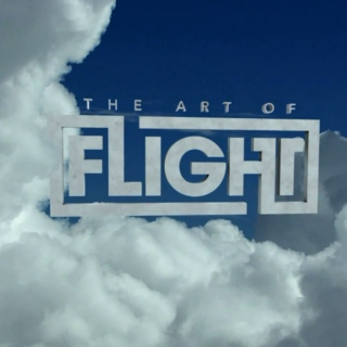 the art of flight