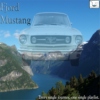 Fjord Mustang