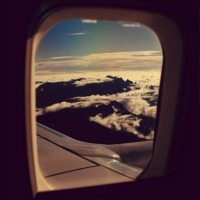 Fly Away ~ ✈